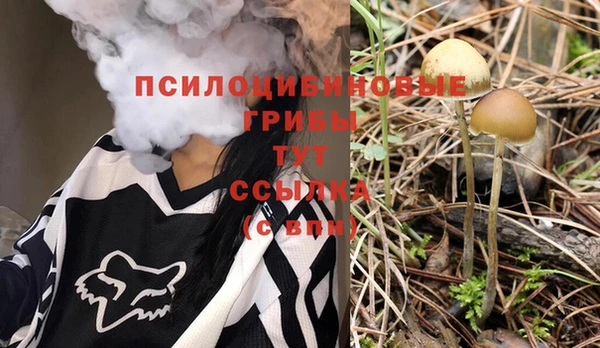 а пвп мука Арсеньев