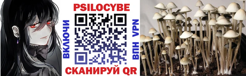 наркота  Нижние Серги  Галлюциногенные грибы Cubensis 